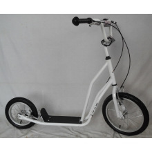Kick Scooter / Foot Scooter (H1612)